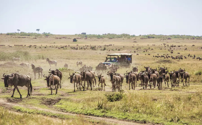 Magic of the Masai Mara- 3 Days Masai Mara-Flying Package